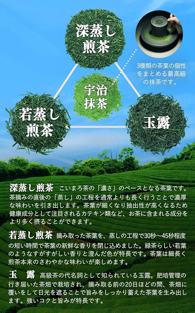 マロ茶 81D+phLAV6L._UF1000,1000_QL80_.jpg